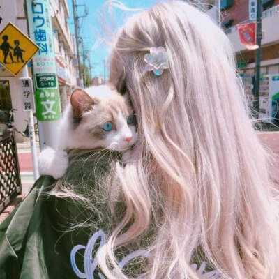 ROR体育官网登录入口